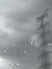 16岁的雨天