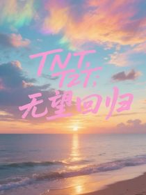 TNT，TZT：无望回归