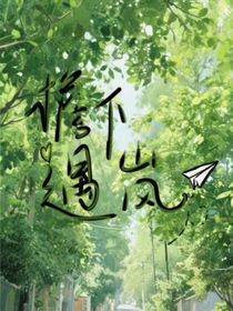 檐下遇岚