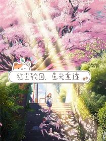 红尘轮回，星光重逢