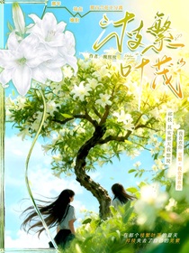 枝繁叶茂，