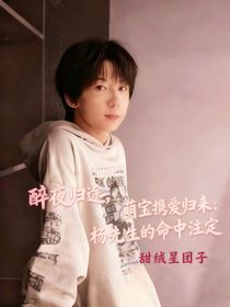 醉夜归途，萌宝携爱归来：杨先生的命中注定