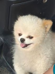 闲趣杂谈