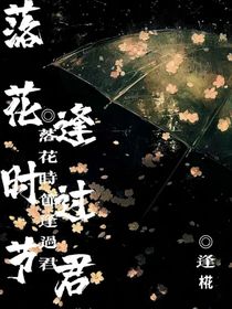 双男主：落花时节逢过君
