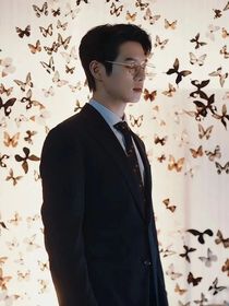 人间烟火：黎明的蝴蝶