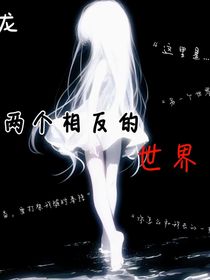 斗龙之镜子世界