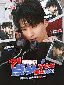 徐振轩：点头YES摇头NO