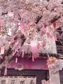 祺轩：人心