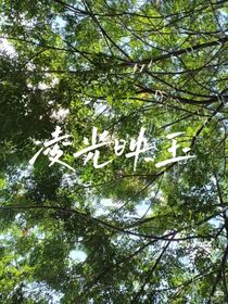 凌光映玉