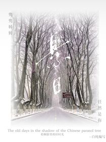梧桐影里舊時光
