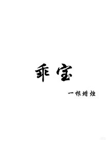 乖宝（书名不重复）