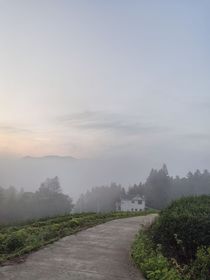 宿命不逆