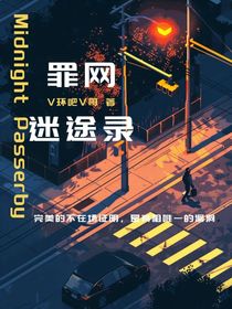 罪网迷途录