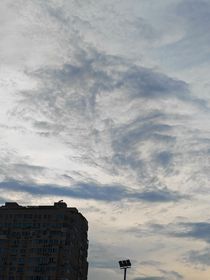 向阳：我本生在光下，却望向地狱