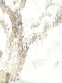 槐枝雪未消