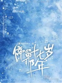 停留十七岁那年