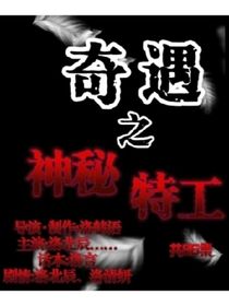 奇遇之神秘特工