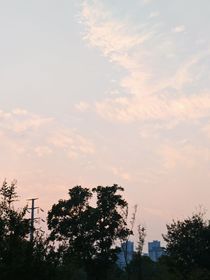 小辛所學(xué)習(xí)的專升本文化常識(shí)