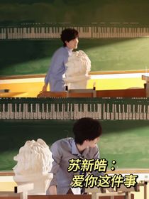 苏新皓：爱你这件事