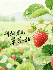 硝烟里的草莓甜