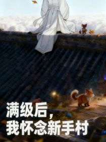 满级后，我怀念新手村
