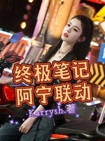 终极笔记阿宁联动