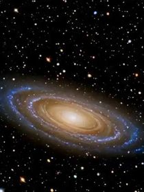 历史喵星座狗穿越星空学院