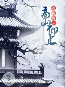 综影视之高山仰止