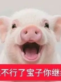 哨棒和鱼丸的爱情故事
