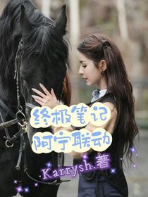 终极笔记阿宁联动