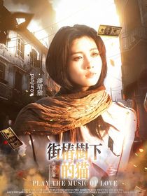 猎罪图鉴：街椿树下的猫