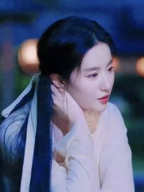 综影视：圆愿事务所