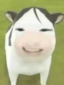 全班很多人谈了，我？和同桌谈