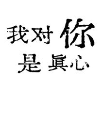 我对你是真心