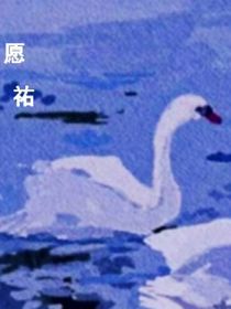 沫沫舒安