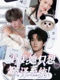 TNT：她只想破译系统