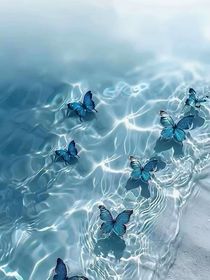 月亮落进十七岁