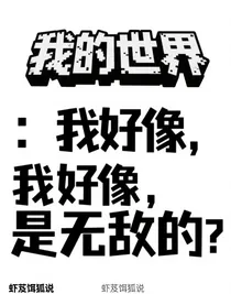 我的世界：我好像，是无敌的？