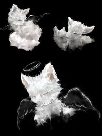 重生之我在地球写随笔