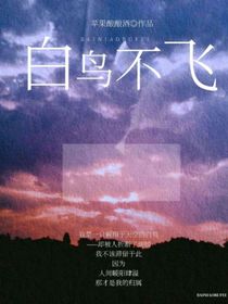 白鸟不飞