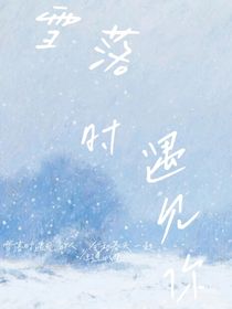 雪落时遇见你