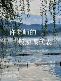 许老师的叛逆课代表