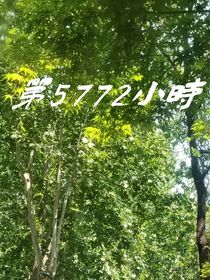 第5772小时