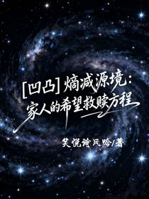 凹凸：熵减源境，家人的希望救赎方程