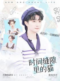 综综艺：时间缝隙里的猫