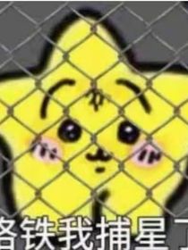 星星的鐳塔同人集