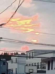 不被忘记的循环