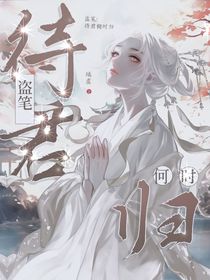 盗笔：待君何时归