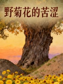 野菊花的苦涩