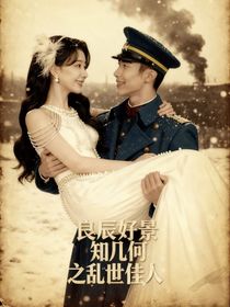 良辰好景知几何之乱世佳人